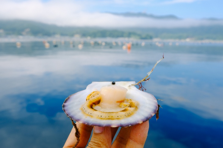 ディナーでは三陸のホタテを始め赤ざら貝やしゅうり貝などの魚介類も振る舞われる