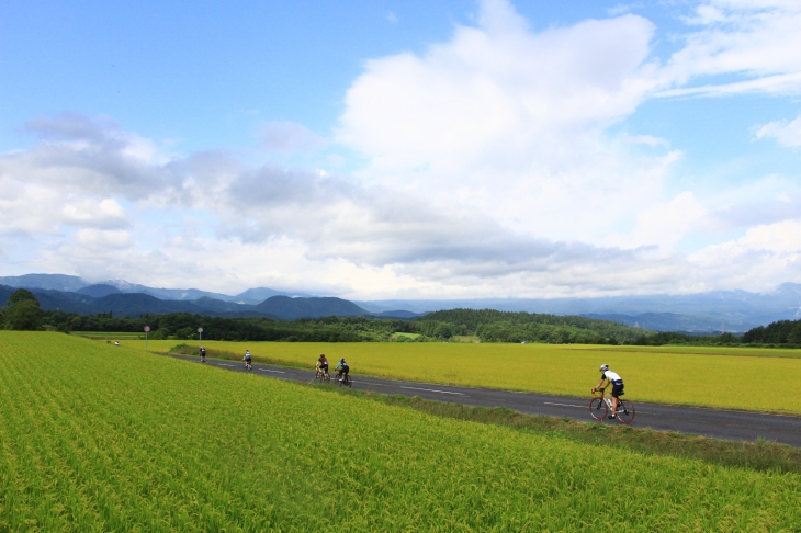 しかし、しばらく走ると一転爽やかな青空に