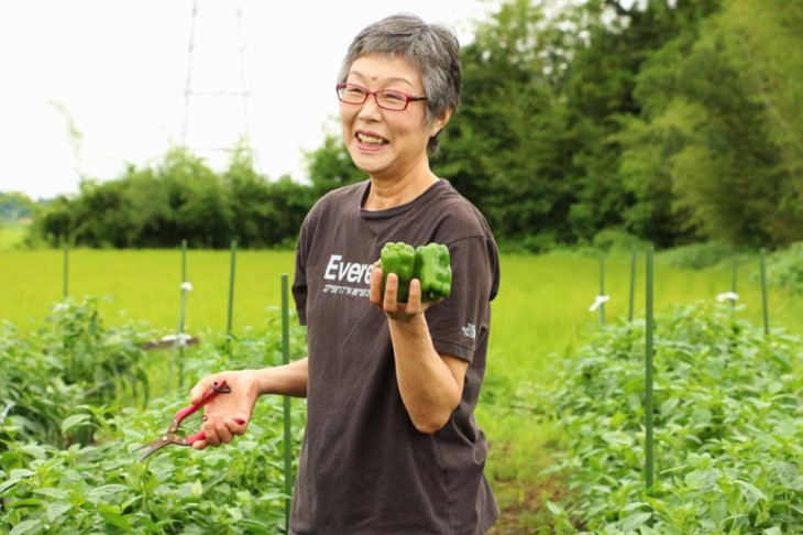 地元野菜を扱うお店も