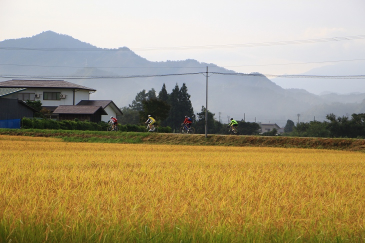 田園風景の中を行く