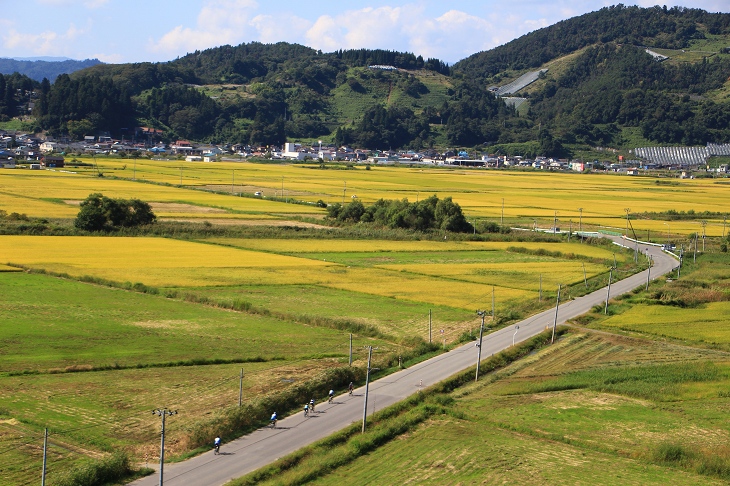 ぶどうまつたけラインを走っていく