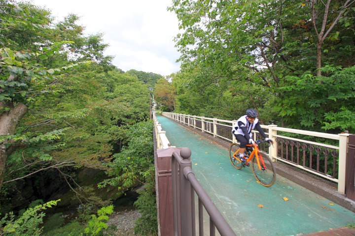 巡礼古道を進むと”ふるさと歩道橋”という良い雰囲気の橋を渡ります