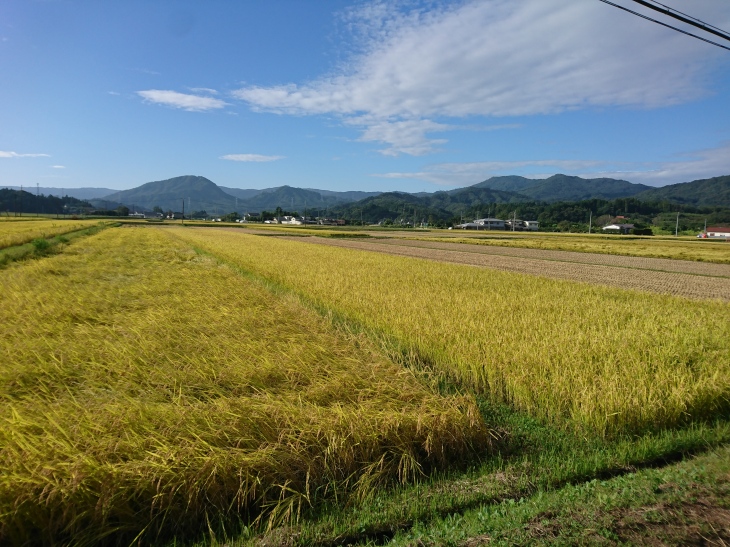 阿武隈山地の支脈が広がる丸森町の田園風景 