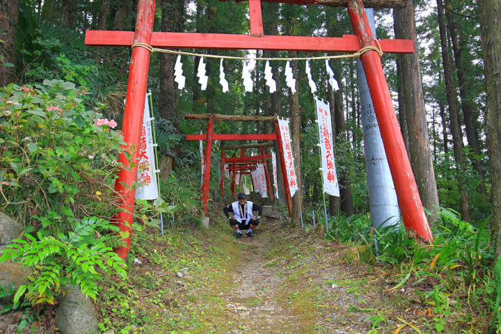 常楽寺の裏山には上之臺稲荷神社があるため鳥居がいくつも建っています