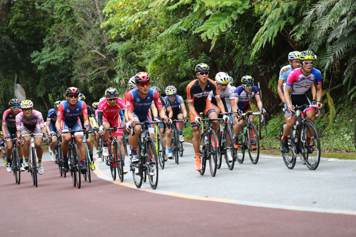 与那の坂を登る市民140kmのメイン集団。中央に優勝した西山琢馬(Pedalist)