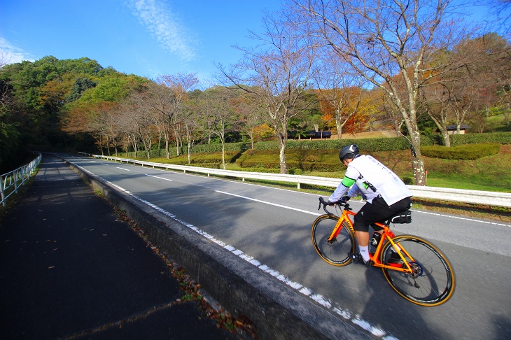 秩父ミューズパーク内は車の通りが少ないです