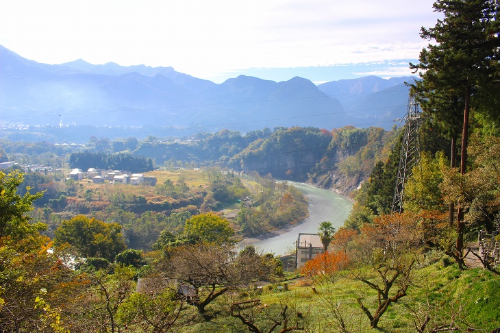 大きくカーブする荒川とそれを囲む木々が美しい里山の風景を描き出します