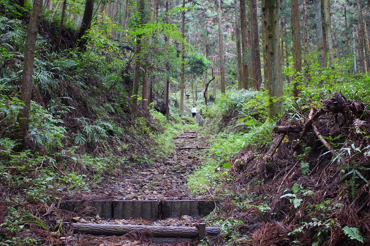 そのうち階段もなくなり瓦礫の上を歩いていくしかありません