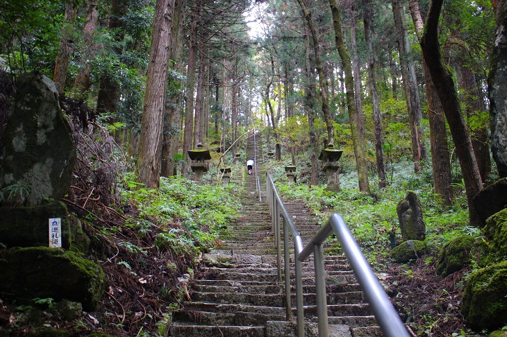 真っ直ぐに伸びる石段。もののけ姫の世界に迷い込んだような幻想的な雰囲気です