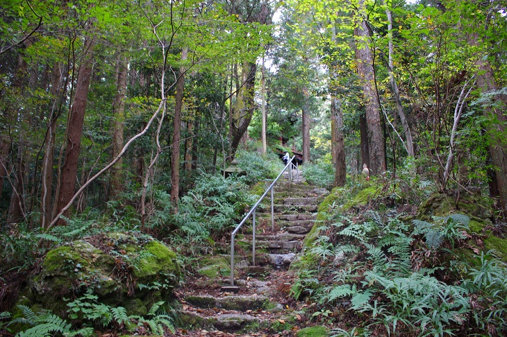 足場は不安定ですが、しっかりとした手すりが付いているため登りやすいです