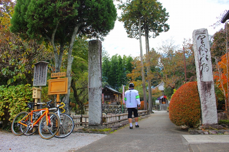 枝垂れ桜が有名な長泉院は境内にも草花が多く、背の高い木々などが目につきます