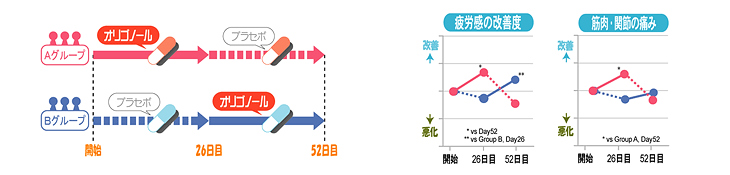 オリゴノールの摂取タイミングが異なる2グループで実験を行ったという。左の図は摂取タイミング、右の図は摂取後の疲労感や筋肉の痛みの改善具合を記したグラフ