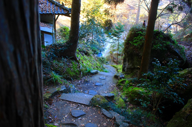 秩父の苔寺と云われる通り、石段の回りは苔生しています