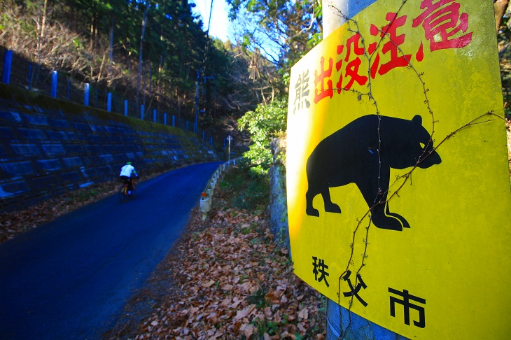 熊には遭遇したくないですね