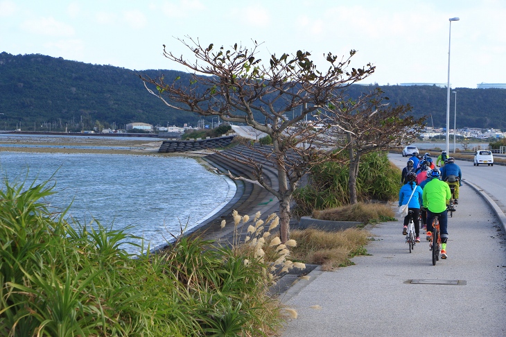 すぐそこまで海が迫る　昔は干潮時に歩いて渡れたのだとか