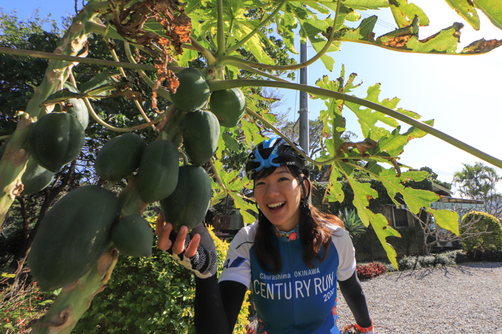 パパイヤの実を見つけた平野由香里さん「食べれるかな〜？」