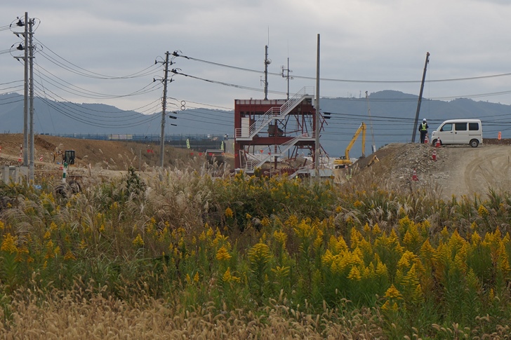 荒れ地が広がる志津川の街の中にぽつりと残る