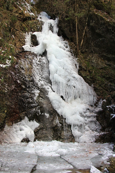 完全結氷とはいかなくとも美しい姿を見せてくれた払沢の滝