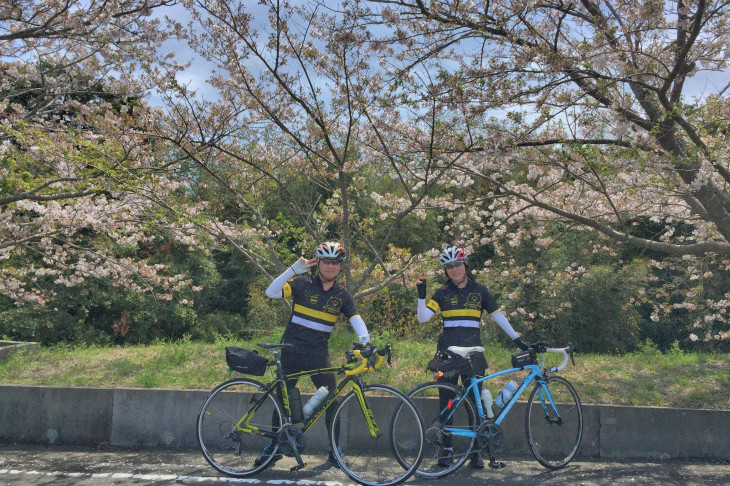 桜咲く中をサイクリングできる
