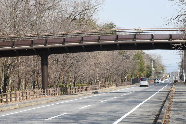 第2ステージ　フィニッシュは日光市のだいや川公園前