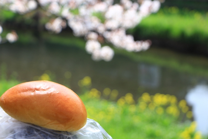 桜と菜の花、そして野川のせせらぎと一緒にクリームパンをいただきます