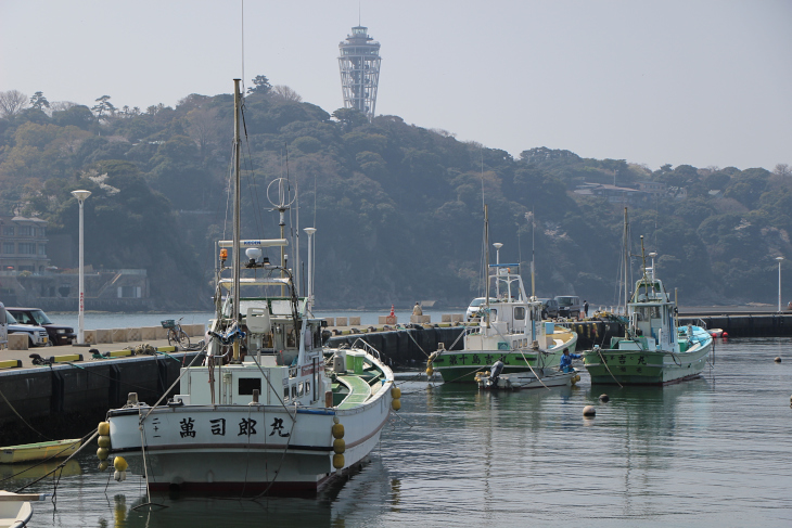 観光地であるとともに湘南の食卓を支える漁港もあり、人の営みを感じられる