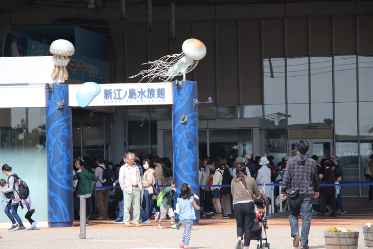 自転車に乗っていなければ訪れたい新江ノ島水族館