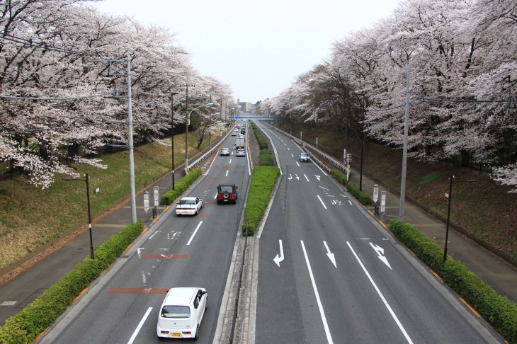 武蔵野公園と野川公園の間を通る東八道路 昔はこのあたりゼロヨンの聖地だったらしい