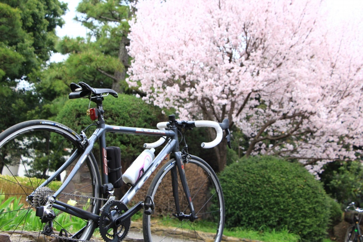 枝垂桜とともに一枚