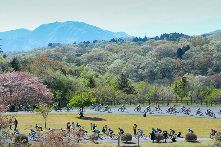 サイクルスポーツセンター周辺は春の装い