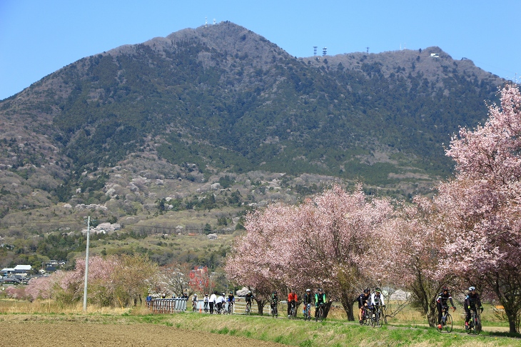 筑波山もほど近い土浦