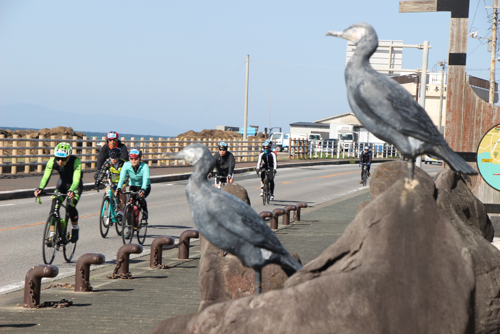 本物の鳥が沢山止まってる！と思ったら石像でした…