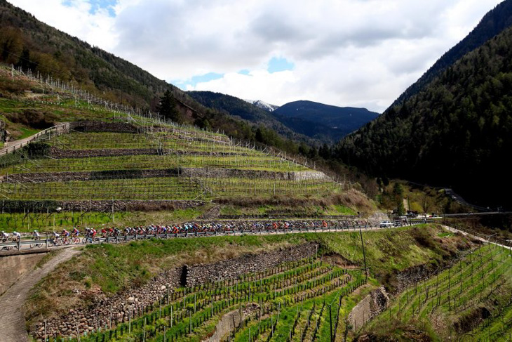 ワイン畑が広がる山岳地帯を走る