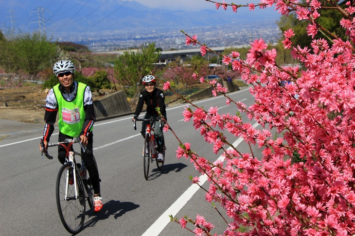 鮮やかな桃の花が次々に現れる　桃と桜のサイクリング2019