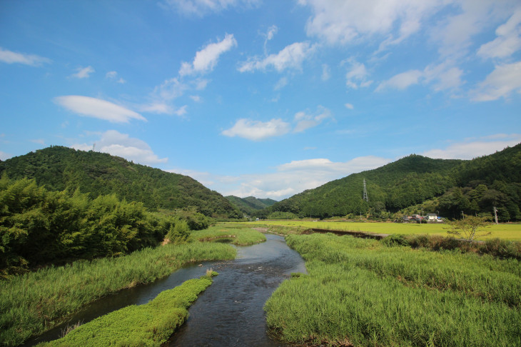 自然豊かな仁淀川水系を丸ごと堪能できるイベントだ