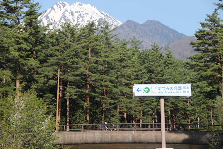 第1エイドの国営アルプスあづみの公園（堀金・穂高）越しに顔を覗かせる冠雪の山が美しい