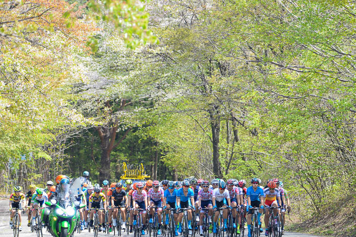 春の花と新緑が混じる群馬サイクルスポーツセンター