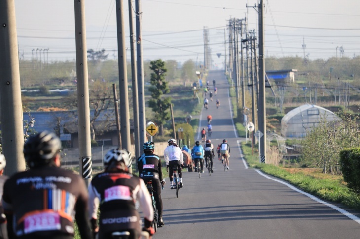 長く長く続く果樹園地帯を抜ける