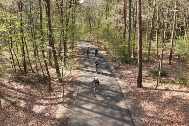 木々の間をすり抜けていく国営アルプスあづみの公園（大町・松川地区）の敷地内