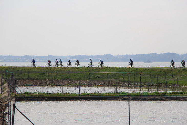 手前に広がるは蓮畑、奥に広がるは霞ケ浦　日本第2の湖を走る