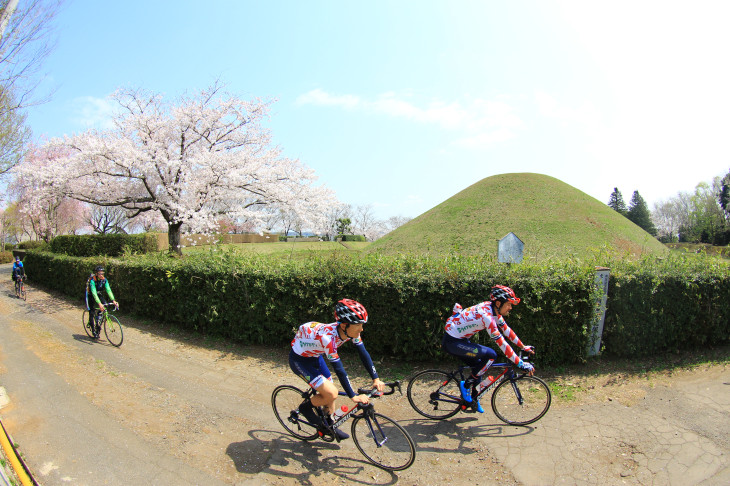 桜と古墳がいい味を出していました