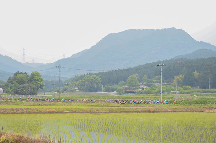 田植えが終わった水田の中を行く集団