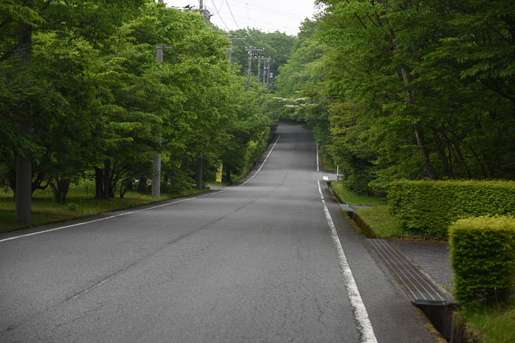 15km付近　ふじあざみラインまではゆるやかな登り基調