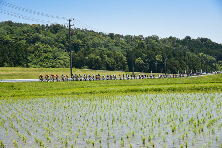 田植えが済んだ田園地帯で長く伸びる集団