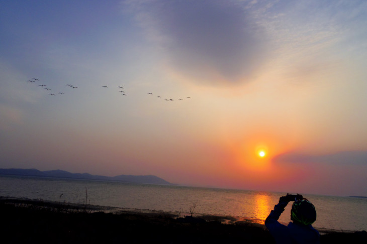 野生の白鳥の群れが飛び立った！思わず時間を忘れてしまう空間。サロマ湖にて。