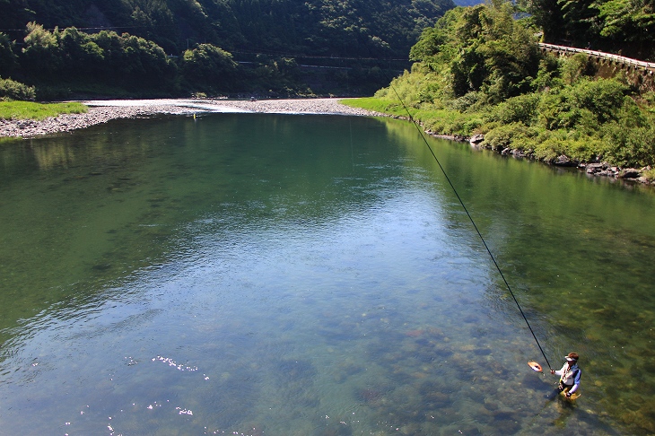 長い竿を自在に操る鮎師たちが沢山立ちこむ仁淀川