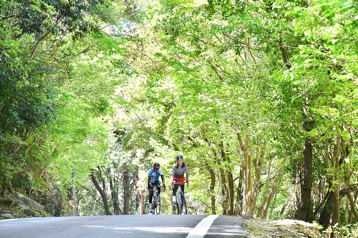 南紀の険しい山岳エリア