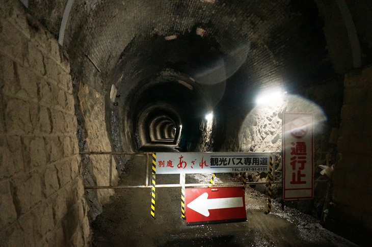 遊歩道が終わった先の廃線跡も気になったので、自転車でさらに追いかけてかけてみると、トンネルの途中で通行止めに…