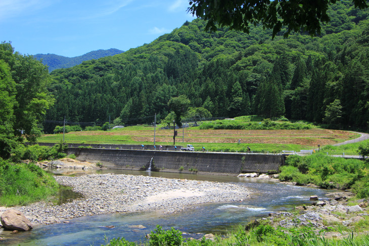 美しい川の流れとともに走っていく