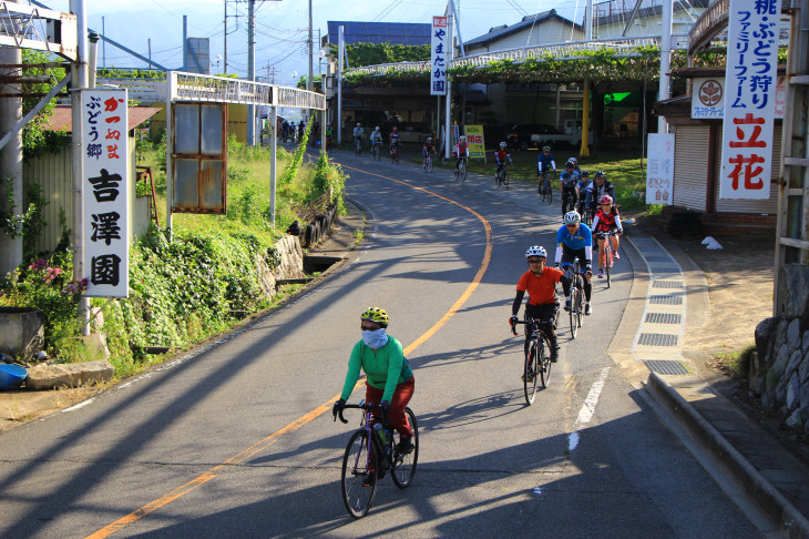 多くの観光農園が並ぶ中を走っていきます